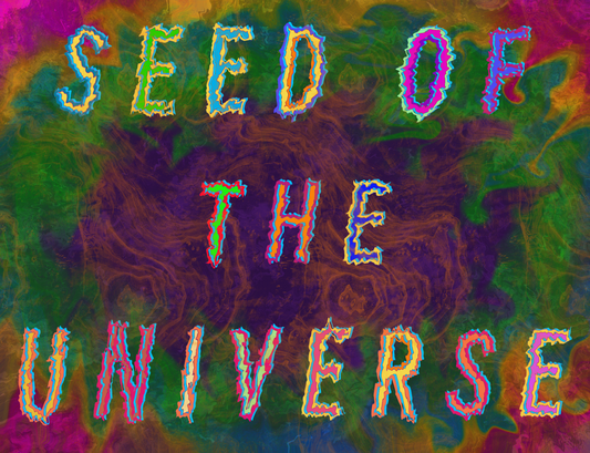 Seed of the Universe